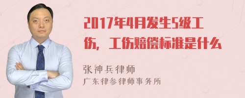 2017年4月发生5级工伤，工伤赔偿标准是什么