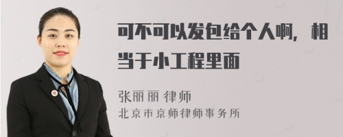 可不可以发包给个人啊，相当于小工程里面