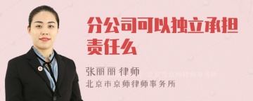 分公司可以独立承担责任么