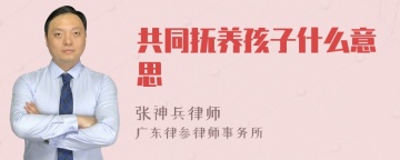 共同抚养孩子什么意思