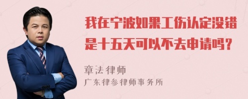 我在宁波如果工伤认定没错是十五天可以不去申请吗？