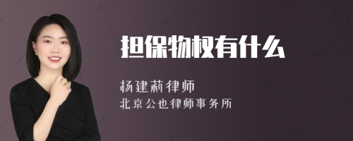 担保物权有什么