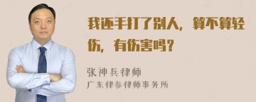 我还手打了别人，算不算轻伤，有伤害吗？