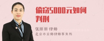 偷窃5000元如何判刑