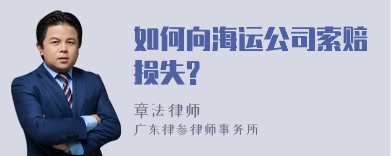 如何向海运公司索赔损失?