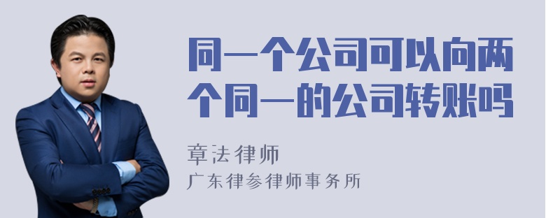 同一个公司可以向两个同一的公司转账吗