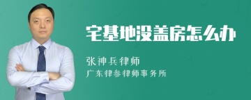 宅基地没盖房怎么办