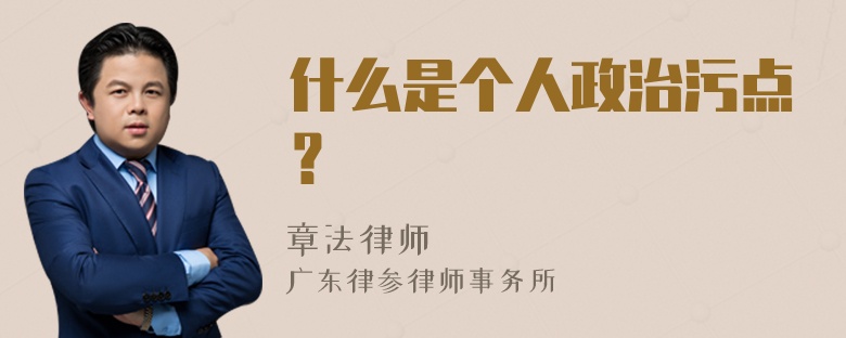 什么是个人政治污点？