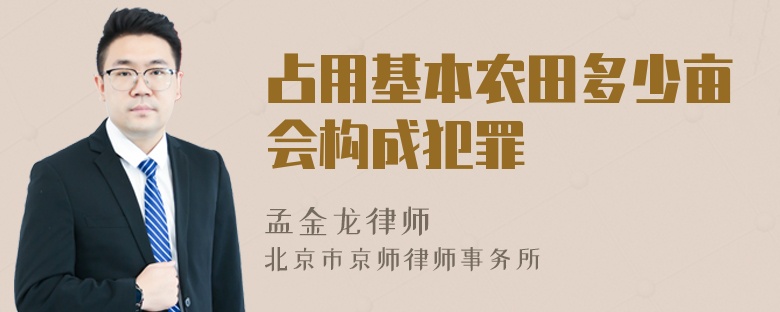 占用基本农田多少亩会构成犯罪