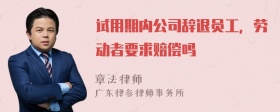 试用期内公司辞退员工，劳动者要求赔偿吗