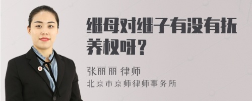 继母对继子有没有抚养权呀？