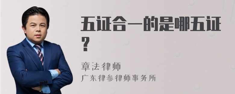 五证合一的是哪五证？