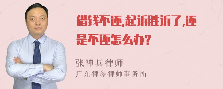 借钱不还,起诉胜诉了,还是不还怎么办?