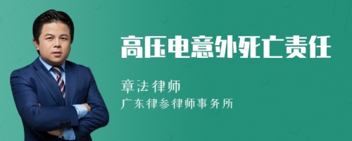 高压电意外死亡责任