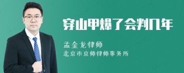 穿山甲爆了会判几年