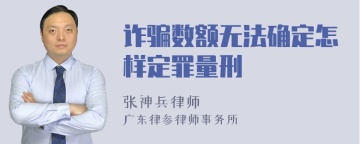 诈骗数额无法确定怎样定罪量刑