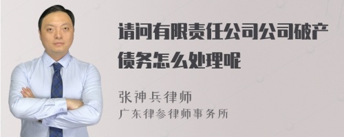 请问有限责任公司公司破产债务怎么处理呢