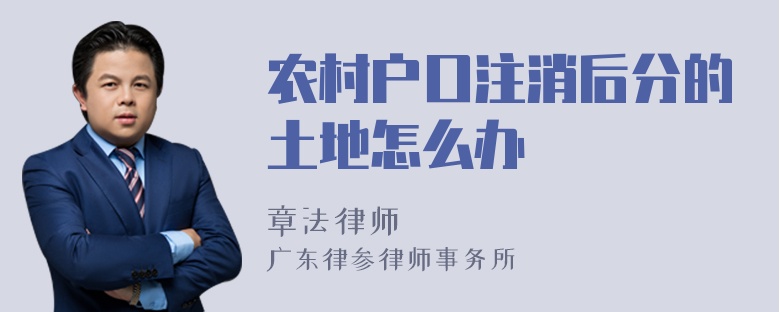 农村户口注消后分的土地怎么办