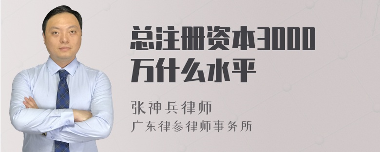 总注册资本3000万什么水平