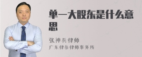 单一大股东是什么意思