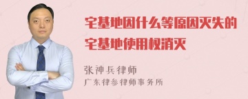 宅基地因什么等原因灭失的宅基地使用权消灭