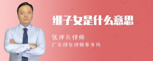 继子女是什么意思