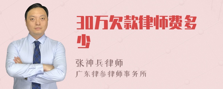 30万欠款律师费多少