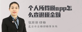 个人所得税app怎么查退税金额