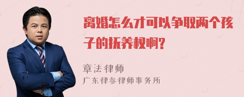 离婚怎么才可以争取两个孩子的抚养权啊?