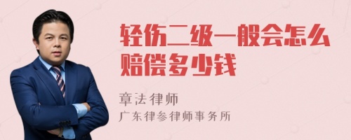 轻伤二级一般会怎么赔偿多少钱