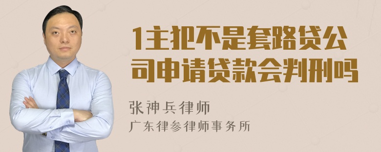 1主犯不是套路贷公司申请贷款会判刑吗