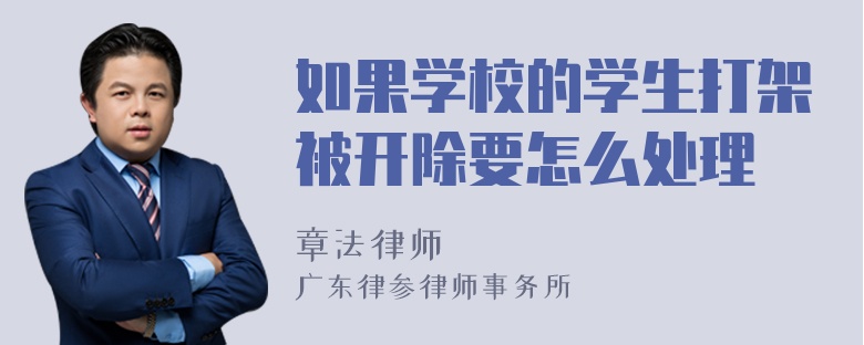 如果学校的学生打架被开除要怎么处理