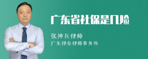 广东省社保是几险