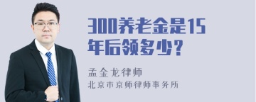 300养老金是15年后领多少？