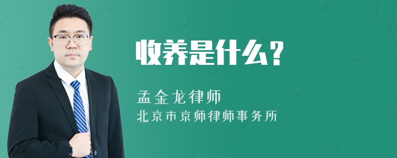 收养是什么？