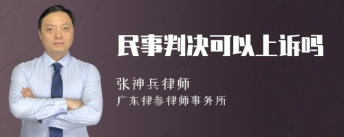 民事判决可以上诉吗