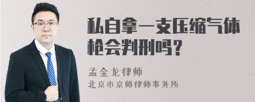 私自拿一支压缩气体枪会判刑吗？