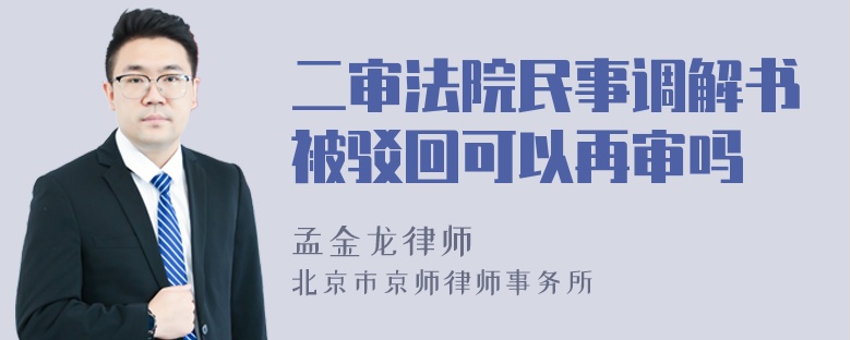 二审法院民事调解书被驳回可以再审吗