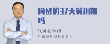 拘留的37天算刑期吗