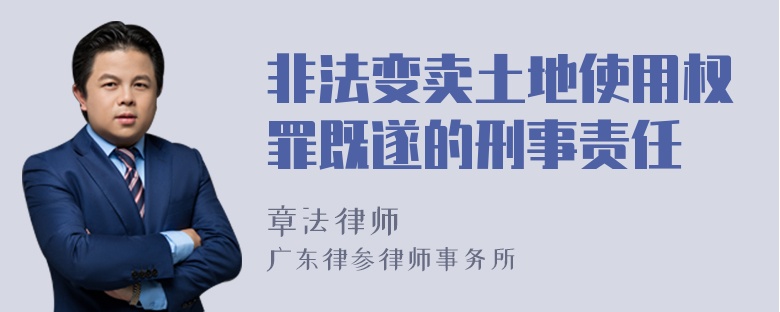 非法变卖土地使用权罪既遂的刑事责任