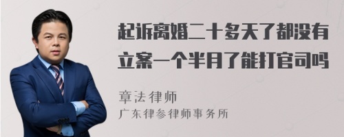 起诉离婚二十多天了都没有立案一个半月了能打官司吗