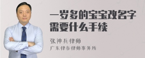 一岁多的宝宝改名字需要什么手续