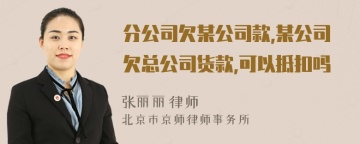 分公司欠某公司款,某公司欠总公司货款,可以抵扣吗