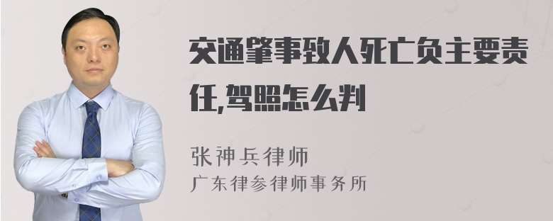 交通肇事致人死亡负主要责任,驾照怎么判