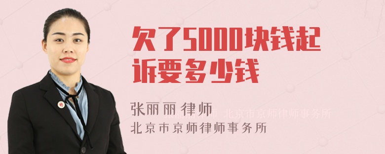 欠了5000块钱起诉要多少钱