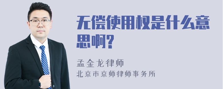 无偿使用权是什么意思啊?