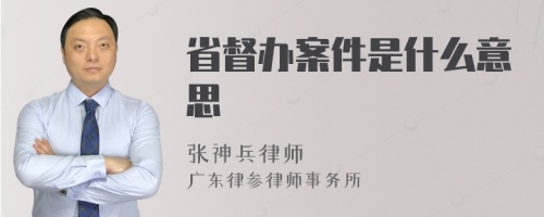 省督办案件是什么意思