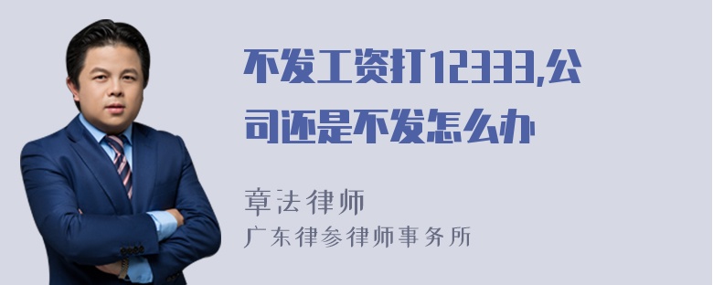 不发工资打12333,公司还是不发怎么办