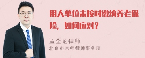 用人单位未按时缴纳养老保险，如何应对？