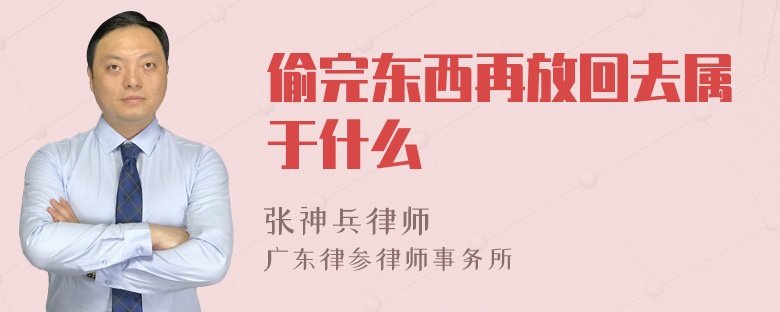 偷完东西再放回去属于什么